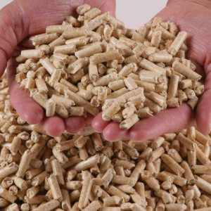 ۱۱- روش های جیره نویسی در غذای آبزیان