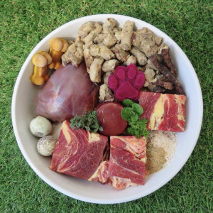 🐶 ۲۸- جیره غذایی مناسب برای سگ ها