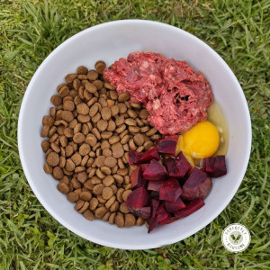 🐶 ۲۹- ارزش غذایی پروتئین در جیره غذایی سگ ها